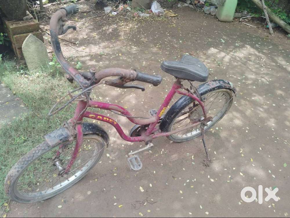 Baby's Cycle