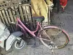 Ladies girls pink colour cycle