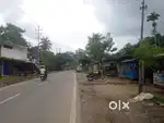 1 BIGHA LAND FOR RENT IN MIRZA