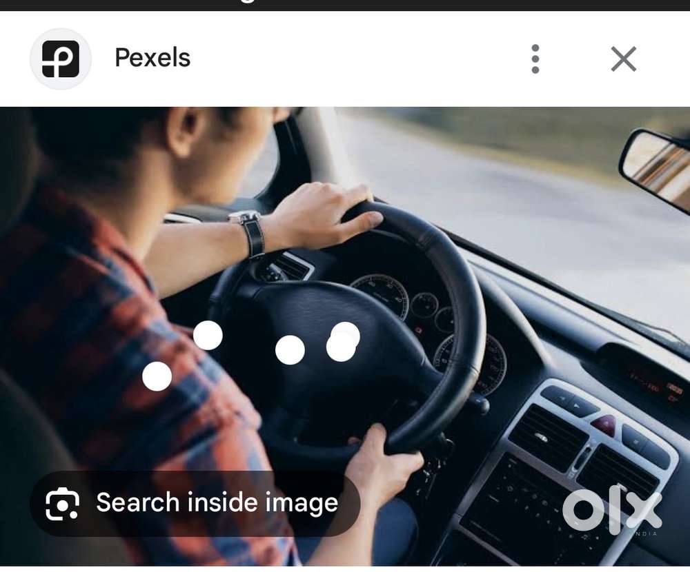 Expert driver at Vrindavan