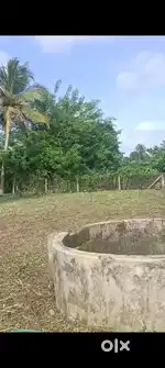 Plot for sale at Thrissur poochaty