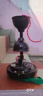 Ceiling fan