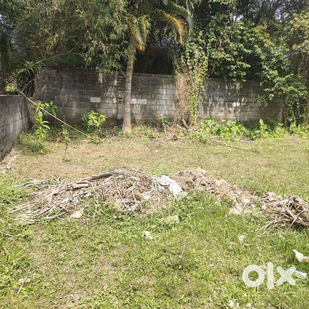 6 cent residential plot sale in mudavanmugal