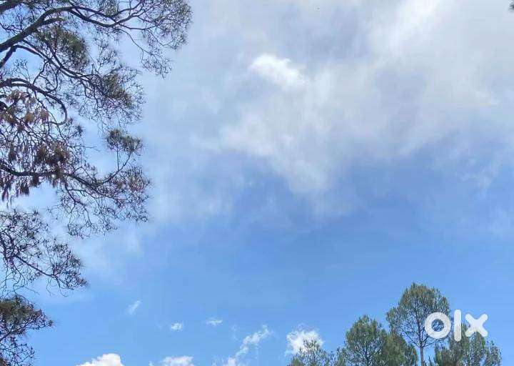 48 nali land touching highway at kosi