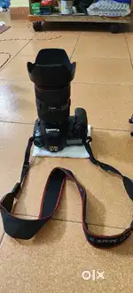Canon 6d ii