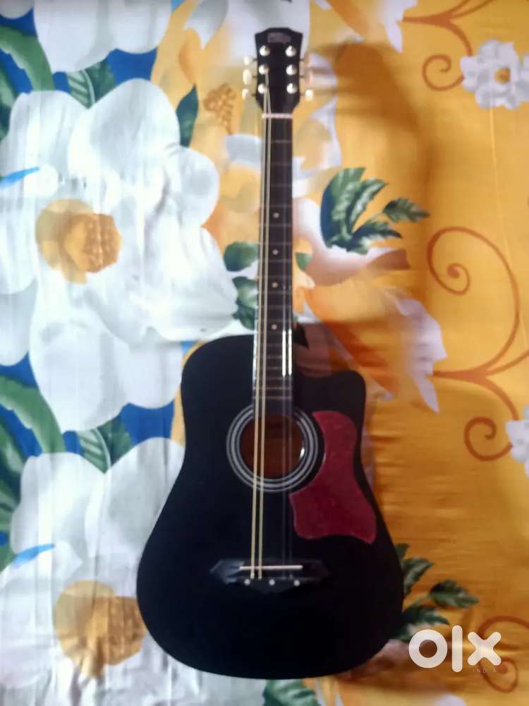 Intern Acoustic Guitar (Back Crack)