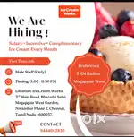 Ice Cream Works - Sales Person