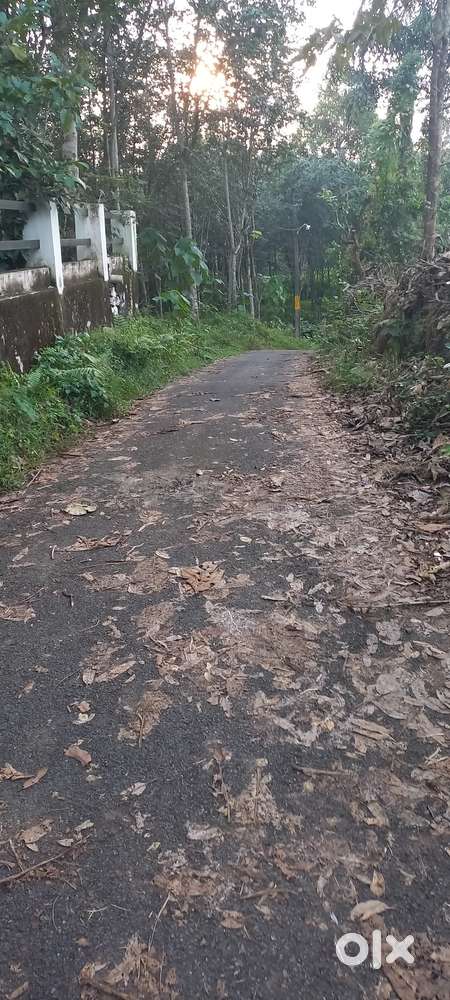 1 ഏക്കർ വസ്തു വില്പനക്ക്