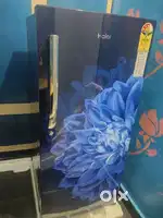 New Fridge