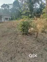 1645m2 Plot for Sale in Colva, South Goa