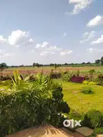Hyderabad-Mumbai Highway facing Villa plots at close to Zaheerabad
