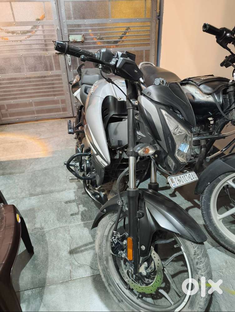 Brand pulsar model 2024