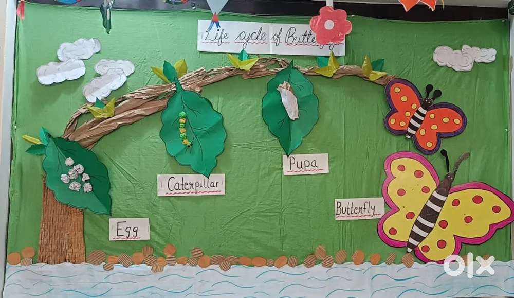 Kindergarten teacher(Female)