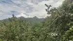 8 Cent land for sale in kodaikanal
