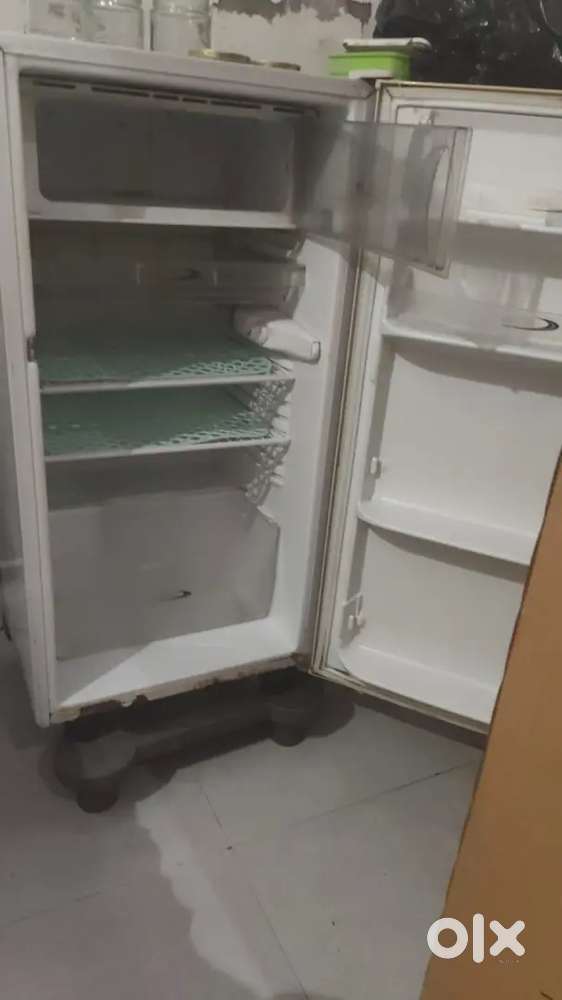 Fridge double and single door