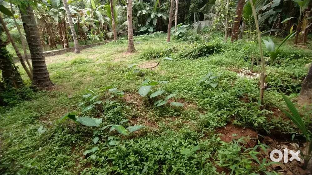 5.45 cent plot for sale
