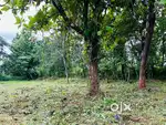 14 Cent Plot For Sale In Koottanad