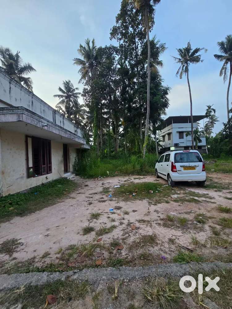 Plot for Sale- Karikkakom- 4.75 cents