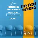Student consultant