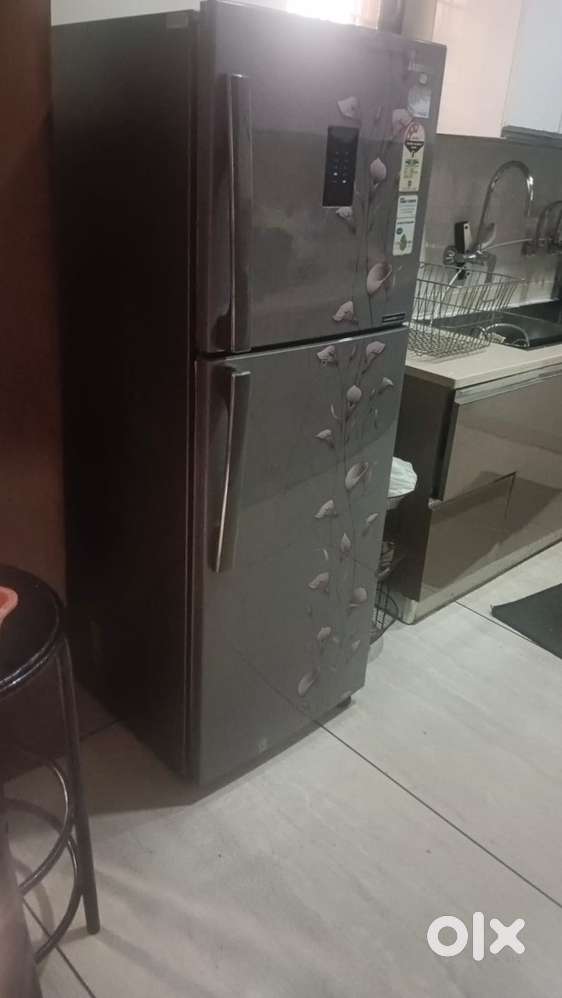 Samsung 255 Litre Double Door Fridge