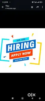 DELIVERY AND TRAVELLING EXECUTIVE
