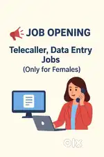 Tellecaller, Data Entry,
