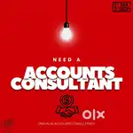 Accounts Consultant - GST,ESI,PF