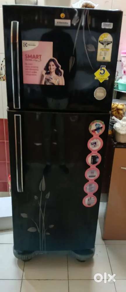 Fridge - double door