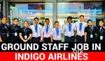 WE ARE HIRED FRESHERS CANDIDATES ONLY MALE AND FEMALE BOTH CAN APPLY.