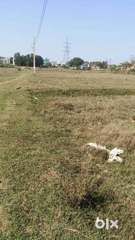 Sukura land road & devloper