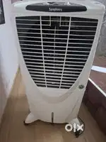 Symphony cooler for sale