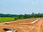 Premium residential plots near Mulanthuruthy