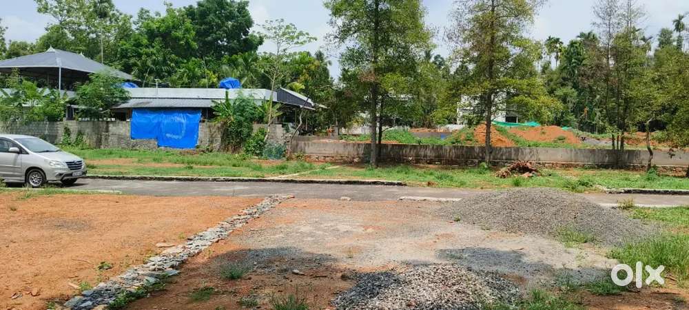 ANGAMALY NEAR APPOLLO HOSPITAL