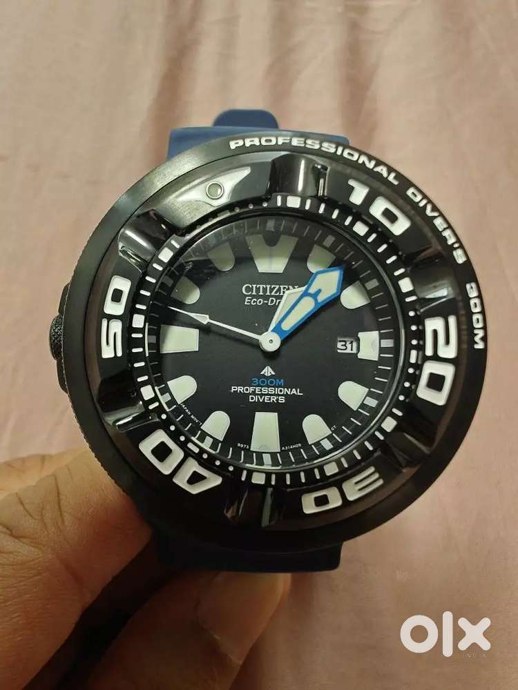 Citizen Promaster Eco-Drive Professional Diver's 300m Watch