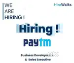 Field Service Executive