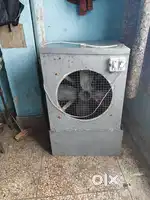 Cooler haii