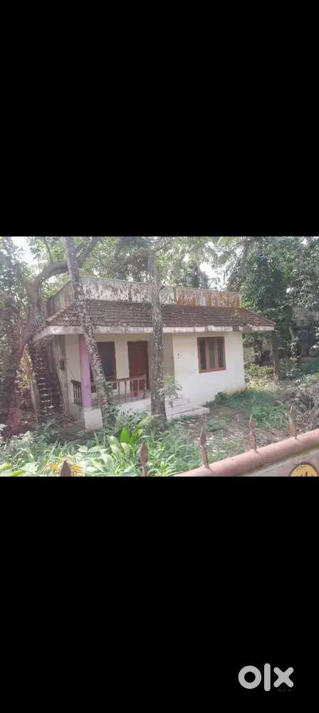 3bhk house in 11 cent