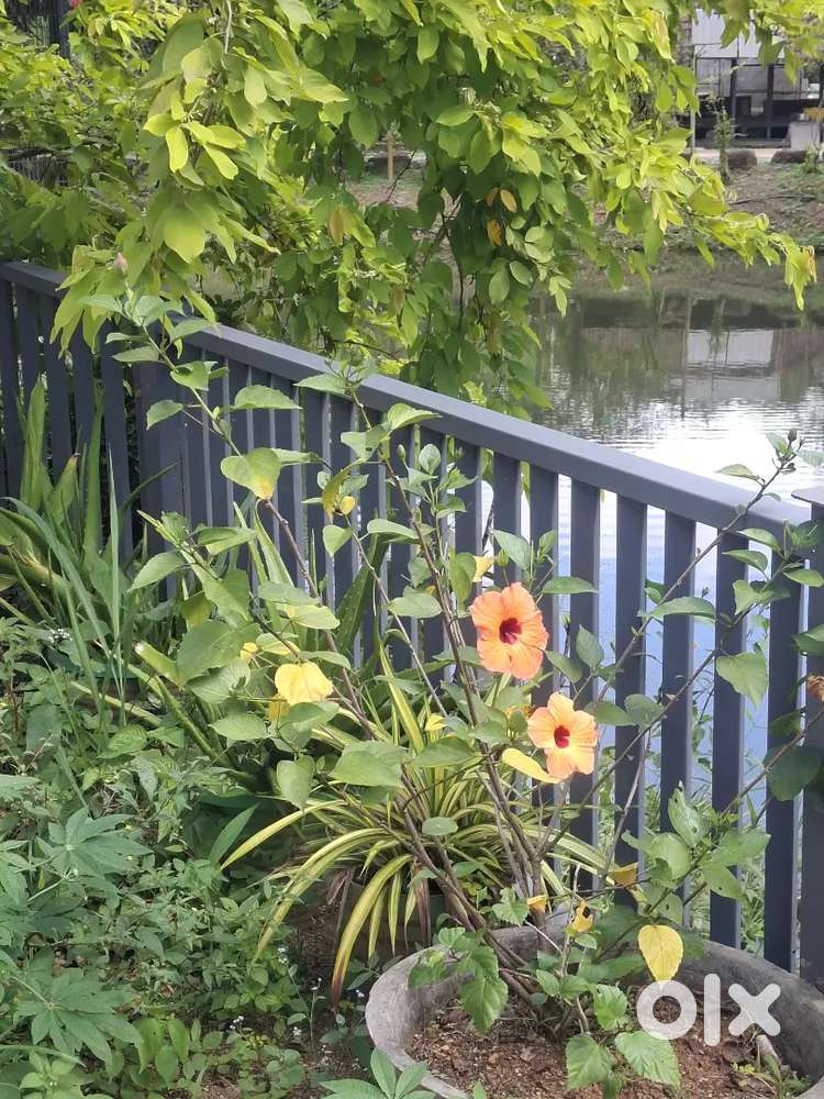 Waiters for experiance up to 3 yrs.Ladies and gents prrfferd