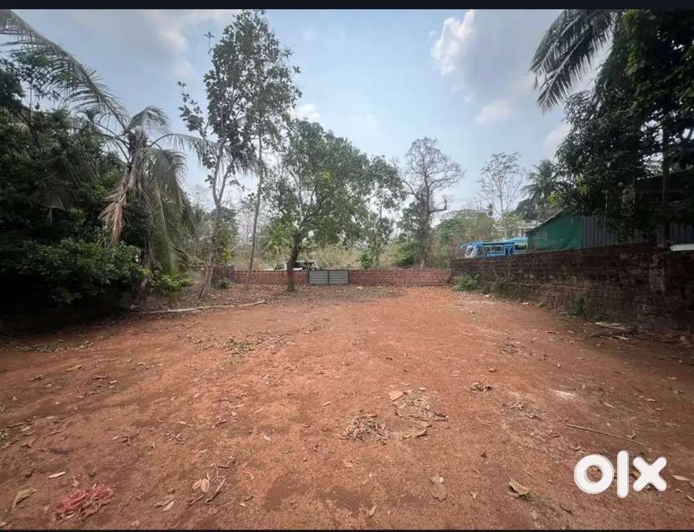 Bineesh property