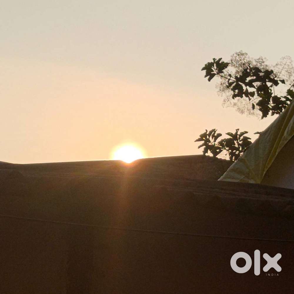 House Or Plot for SALR