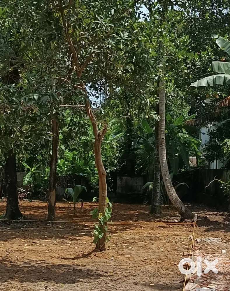 5cnt property for sale