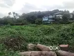 16 cent land for sale at Kalamassery
