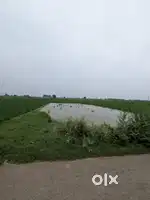5.5 kanal land for sale in Bhagatpura,Ropar