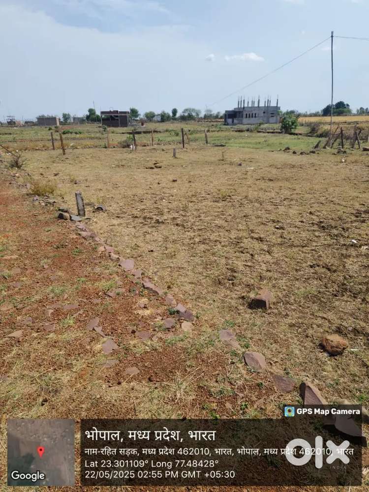 Bhopal Minal residency gate number 3 se 2 kilometer ki duri per pipliy