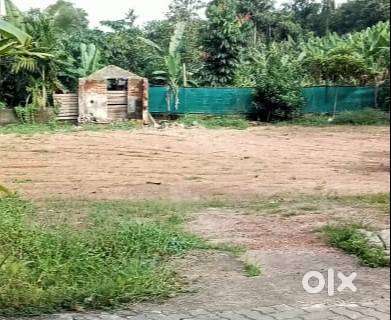 37 Cents of Land in Pinermunda, Pallikkara.
