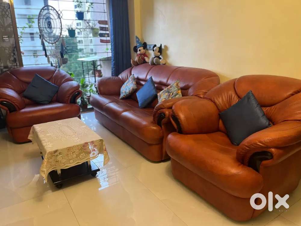 Luxurious Sofa set