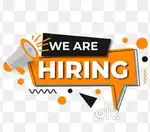 SALES EXECUTIVE