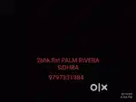 Palm Rivera sidhra