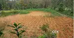 Prince plot