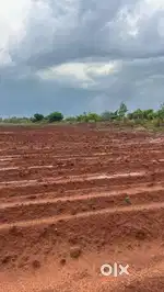 Red soil agriculture land